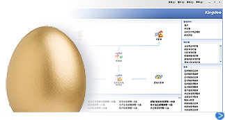 金蝶KIS专业版